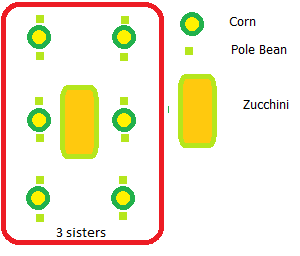 Corn and zucchini template