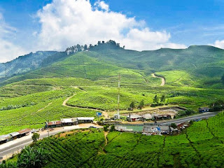 puncak bogor puncak bogor