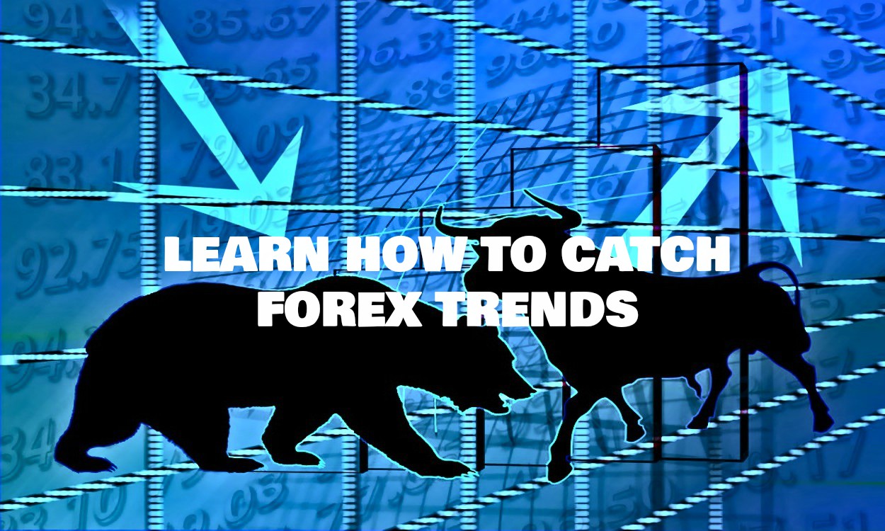 Forex learning videos