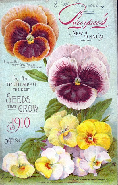 clipart vintage seed packets - photo #30