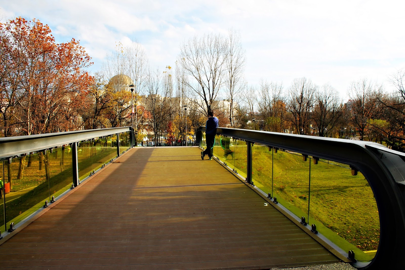 Bucharest Downtown Drumul Taberei Park