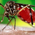 MÁS DE CINCO MIL CASOS DE DENGUE REGISTRADOS EN EL PAÍS