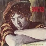 PICTURE BOOK, SImply Red