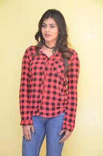 hebah patel at nnnbf success meet hebah patel at nnnbf success meet