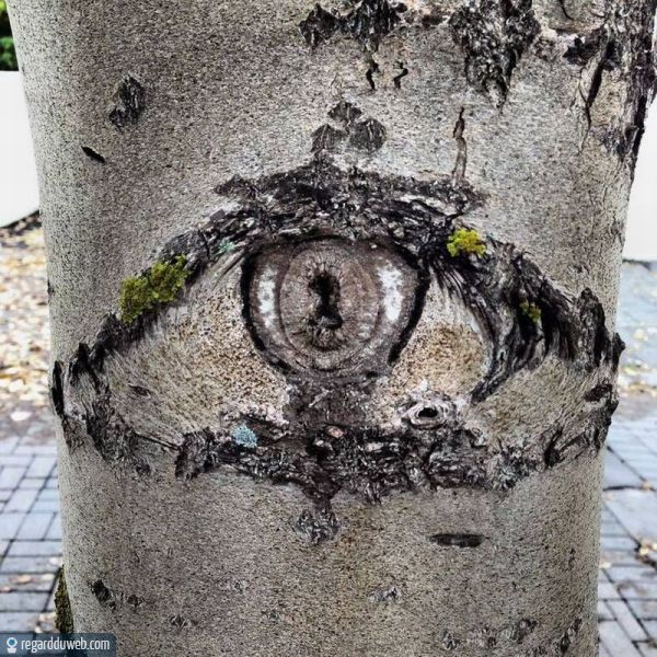 Photos rigolotes et insolites Effet optique v57 Des milliers de photos drôles et insolites