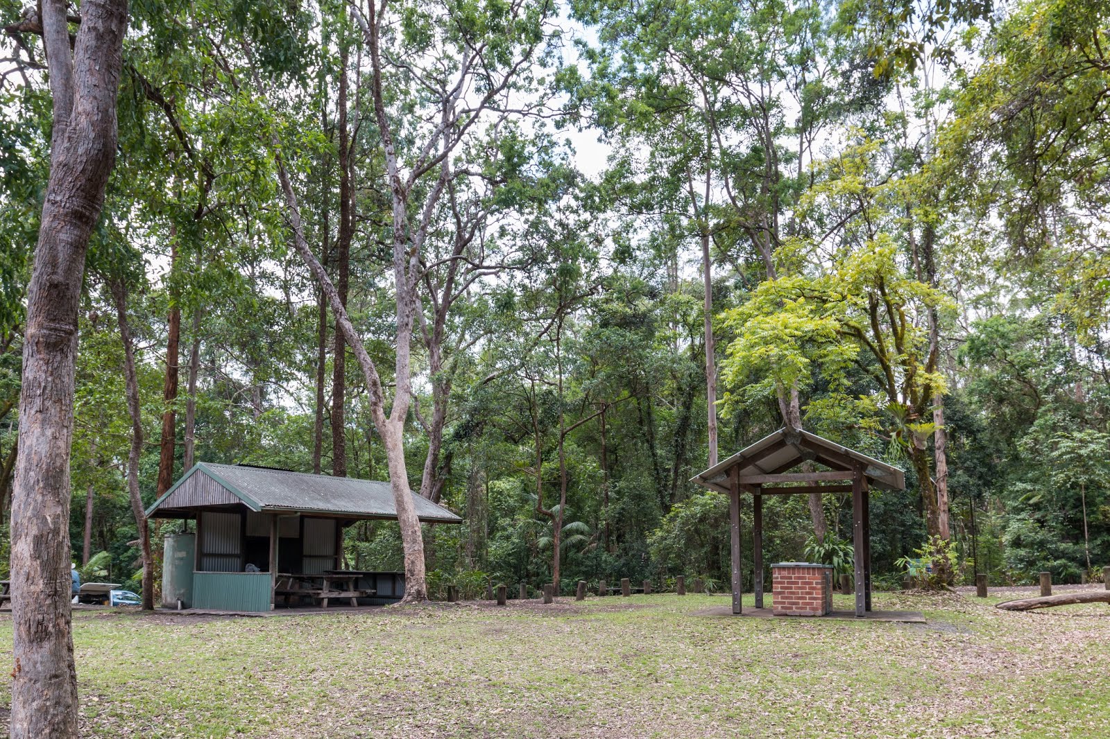 National Park Odyssey Sheepstation Creek Campground, Border Ranges National Park, NSW.