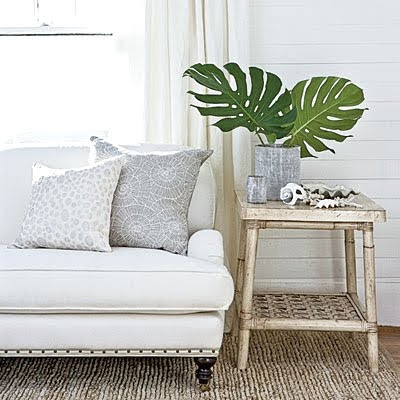 palm leaves decor