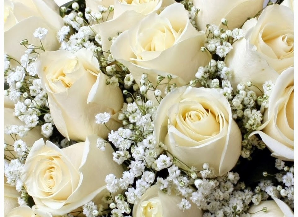 ramo-de-12-rosas-blancas.jpg