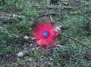 Mysterious Password Forest Escape 2 Mysterious Password Forest Escape 2 Juegos