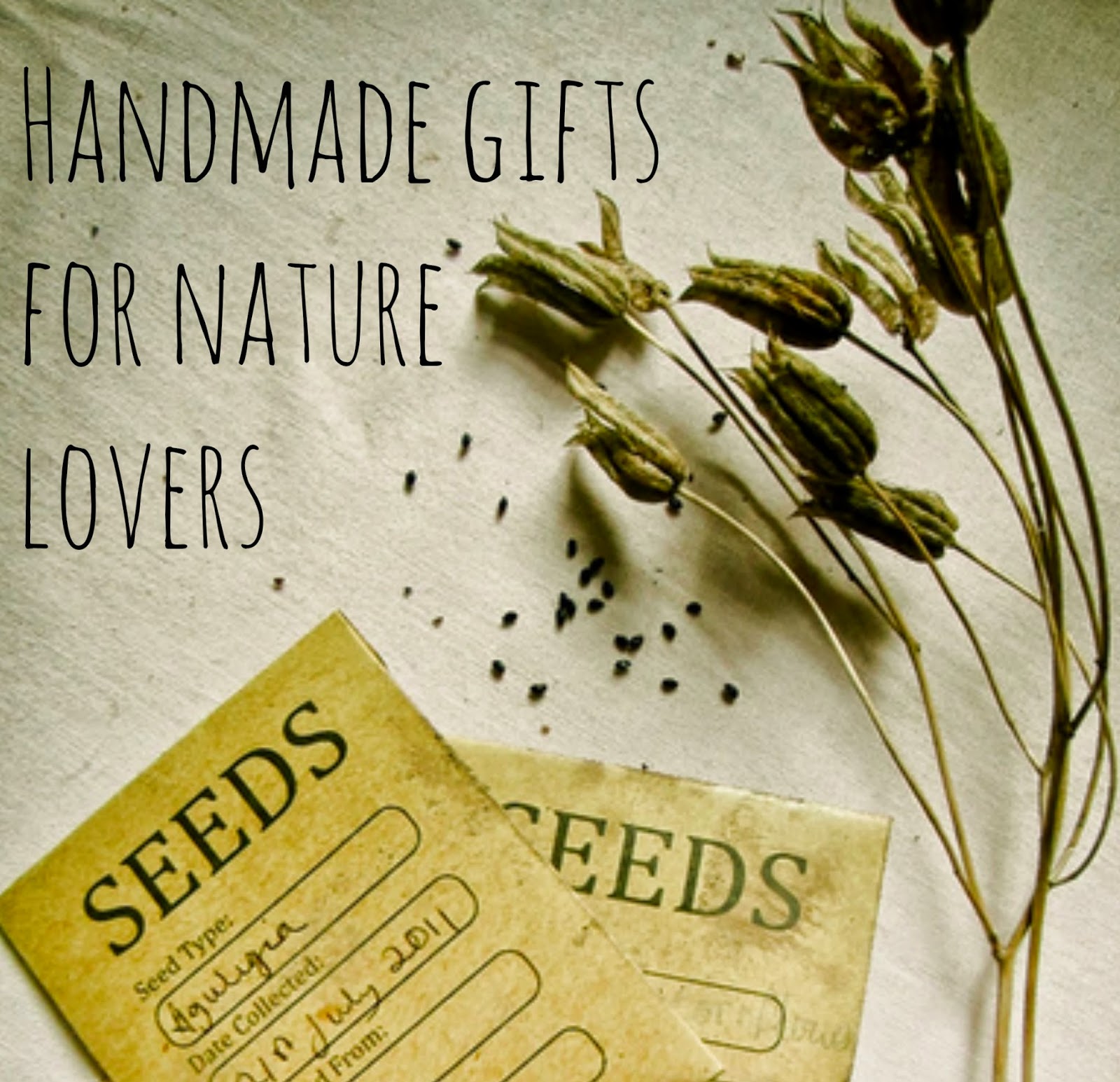 diy gifts for nature lovers