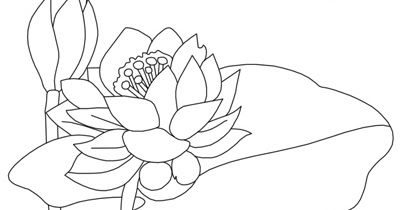 23 Gambar Bunga Lotus Kartun  Gambar  Kartun 