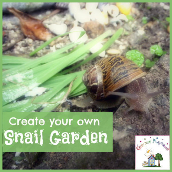 Creative Playhouse: Creating a Snail Garden