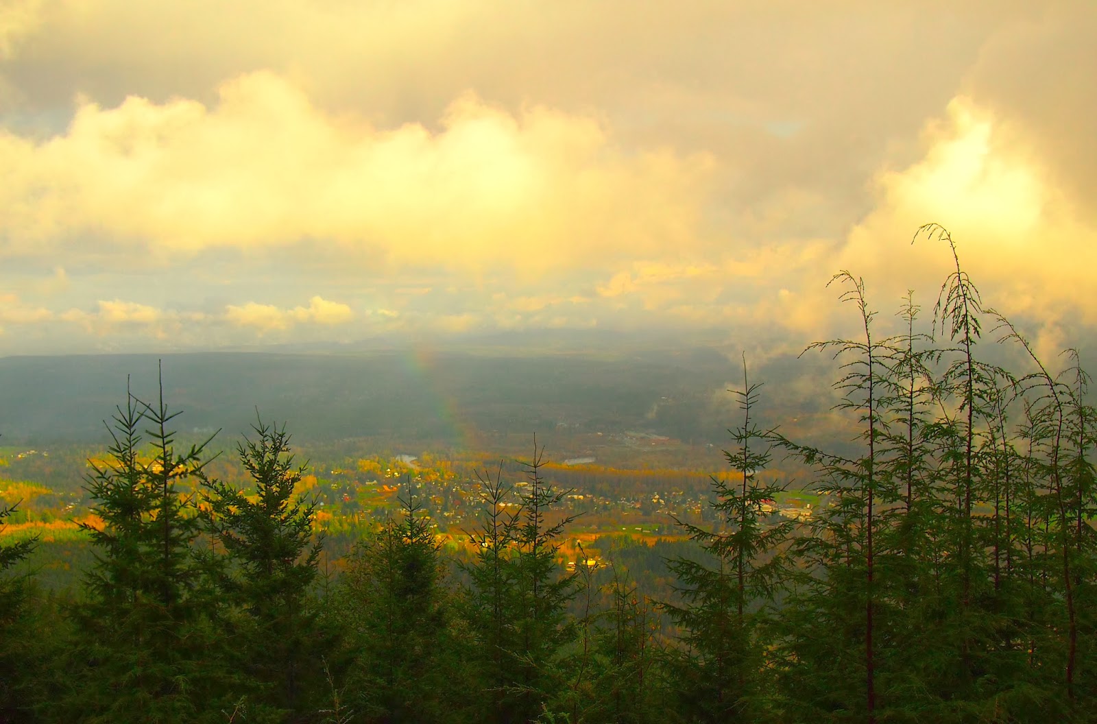Jan's BLog Rattlesnake Ridge