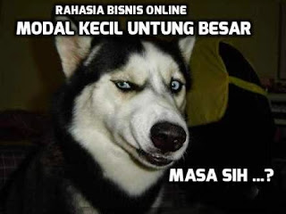 Bisnis Online Modal Kecil untung besar