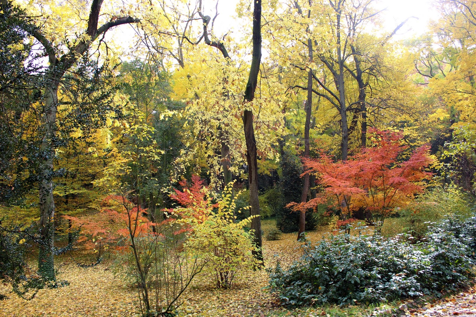 Jardines con colores de otoño