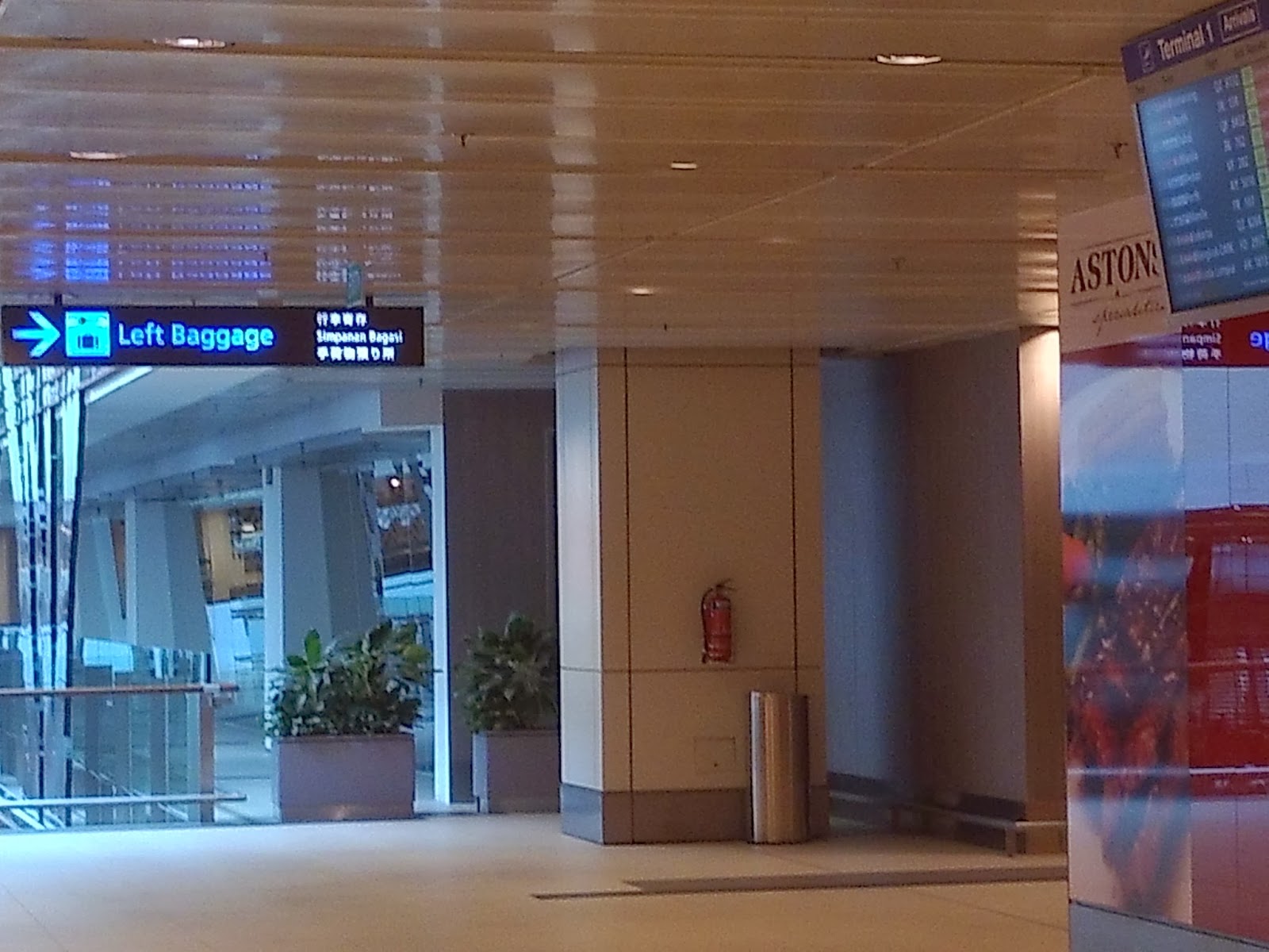 Daily Route Changi airport left luggage