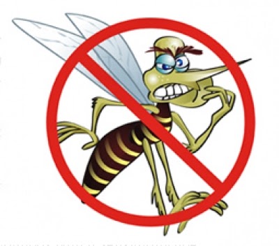 Mosquitos transgénicos contra el dengue. Y hablando de transgénicos… - Bio  (Ciencia+Tecnología)