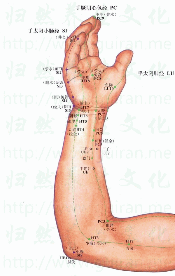內關穴位 | 內關穴痛位置 - 穴道按摩經絡圖解 | Source:zhentuiyixue.com