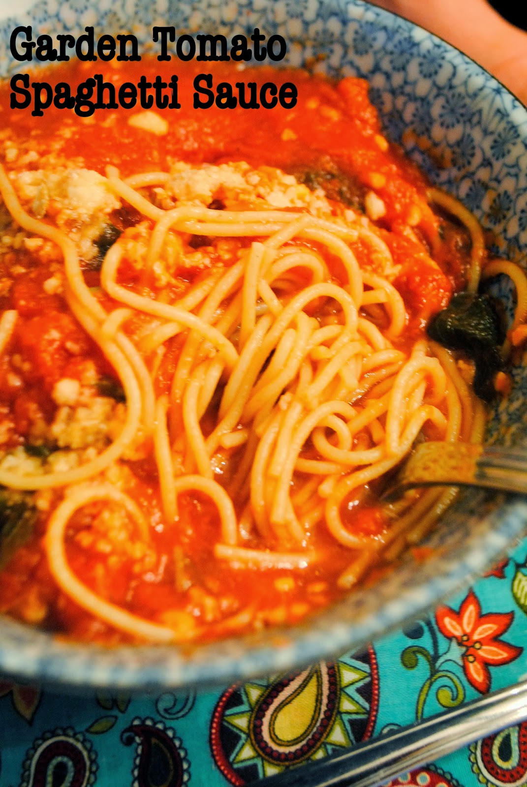 ThriceTheSpice Garden Tomato Spaghetti Sauce