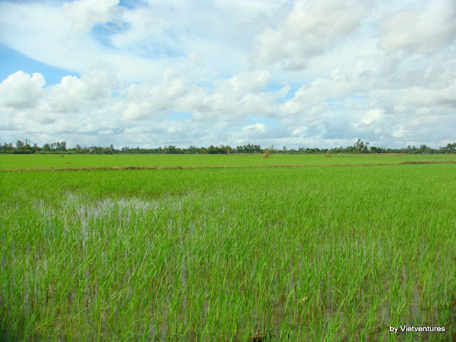 l'îlot Gieng, Chau Doc