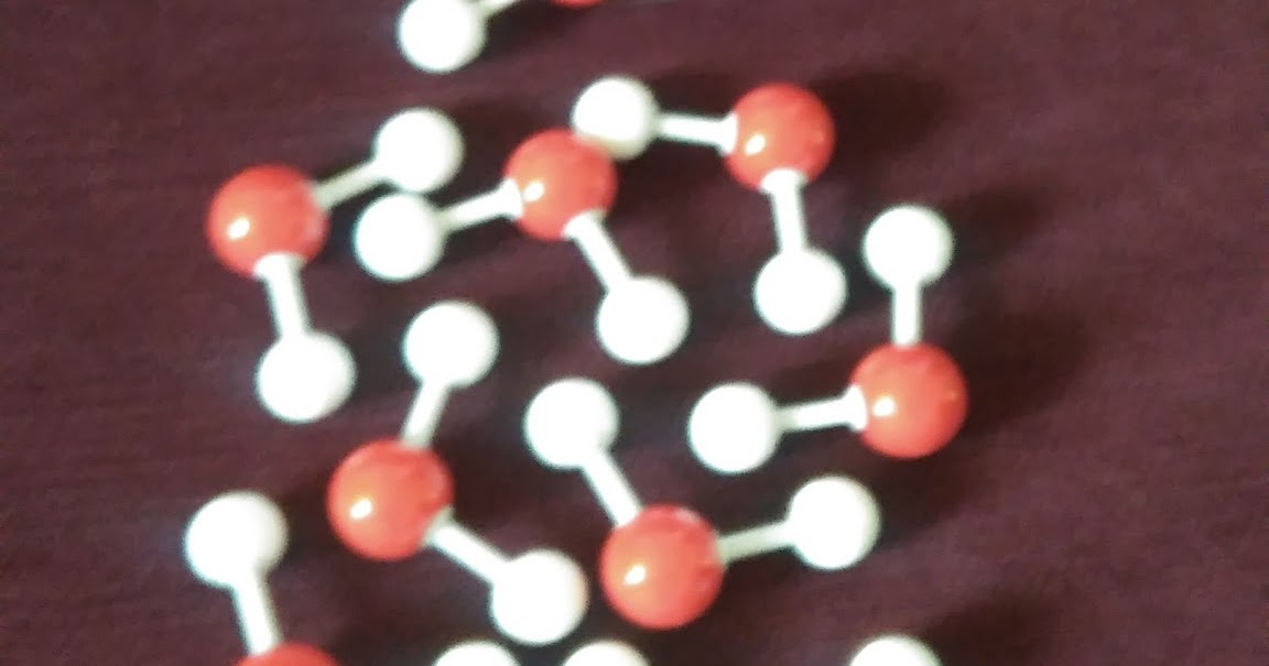 Tales of Education at Home: How Fish Breathe - A Science Experiment