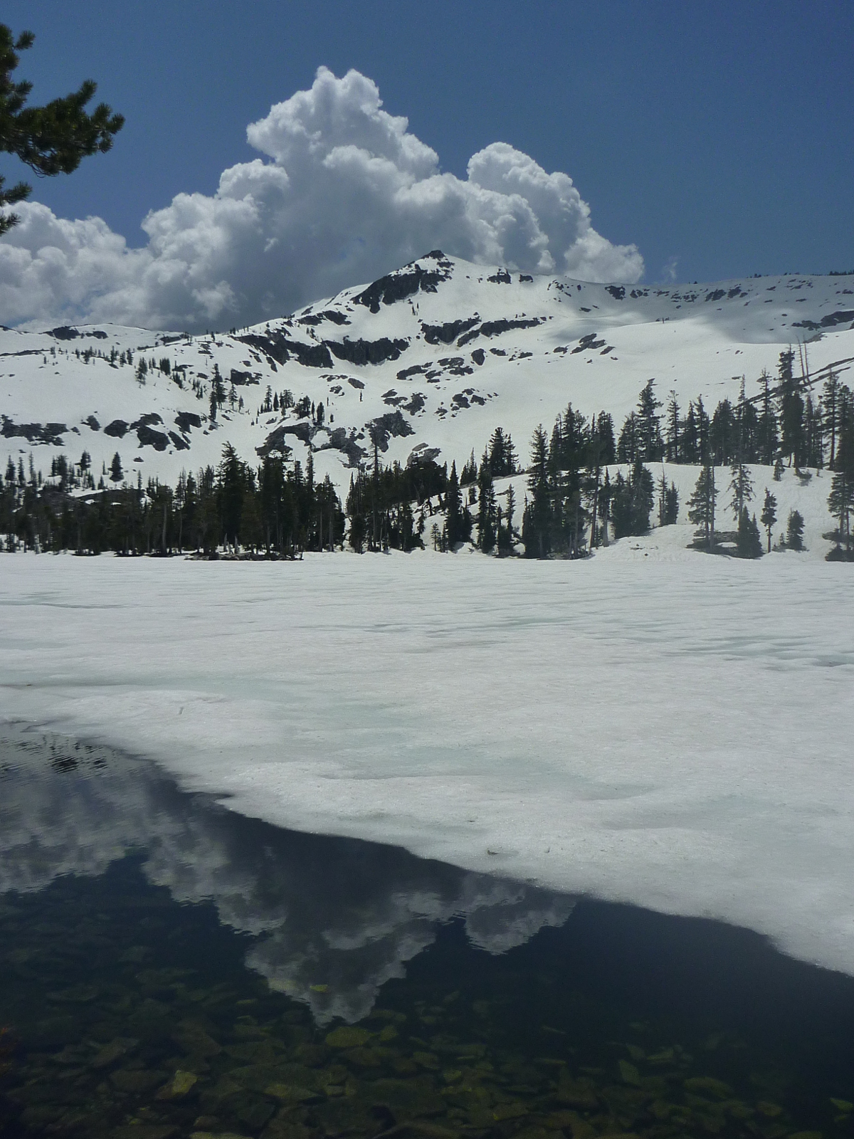 Trailing Ahead Icecovered Tamarack Lake with Ralston Peak