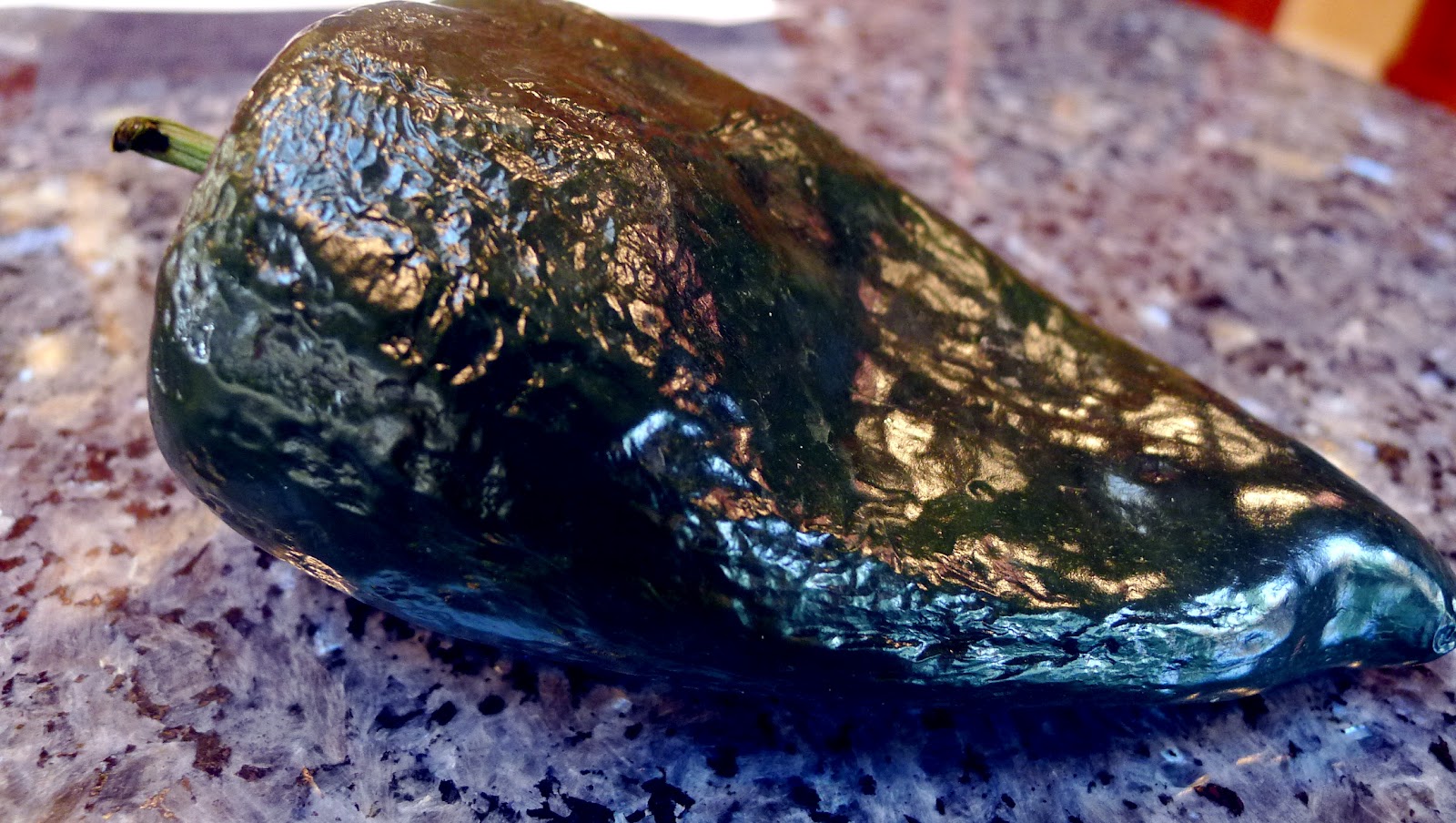 newFOOD tuesdayz Black Bean and Portobello Enchiladas with Roasted