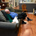 75-year-old volunteer visits shelter every single day – and naps with cats