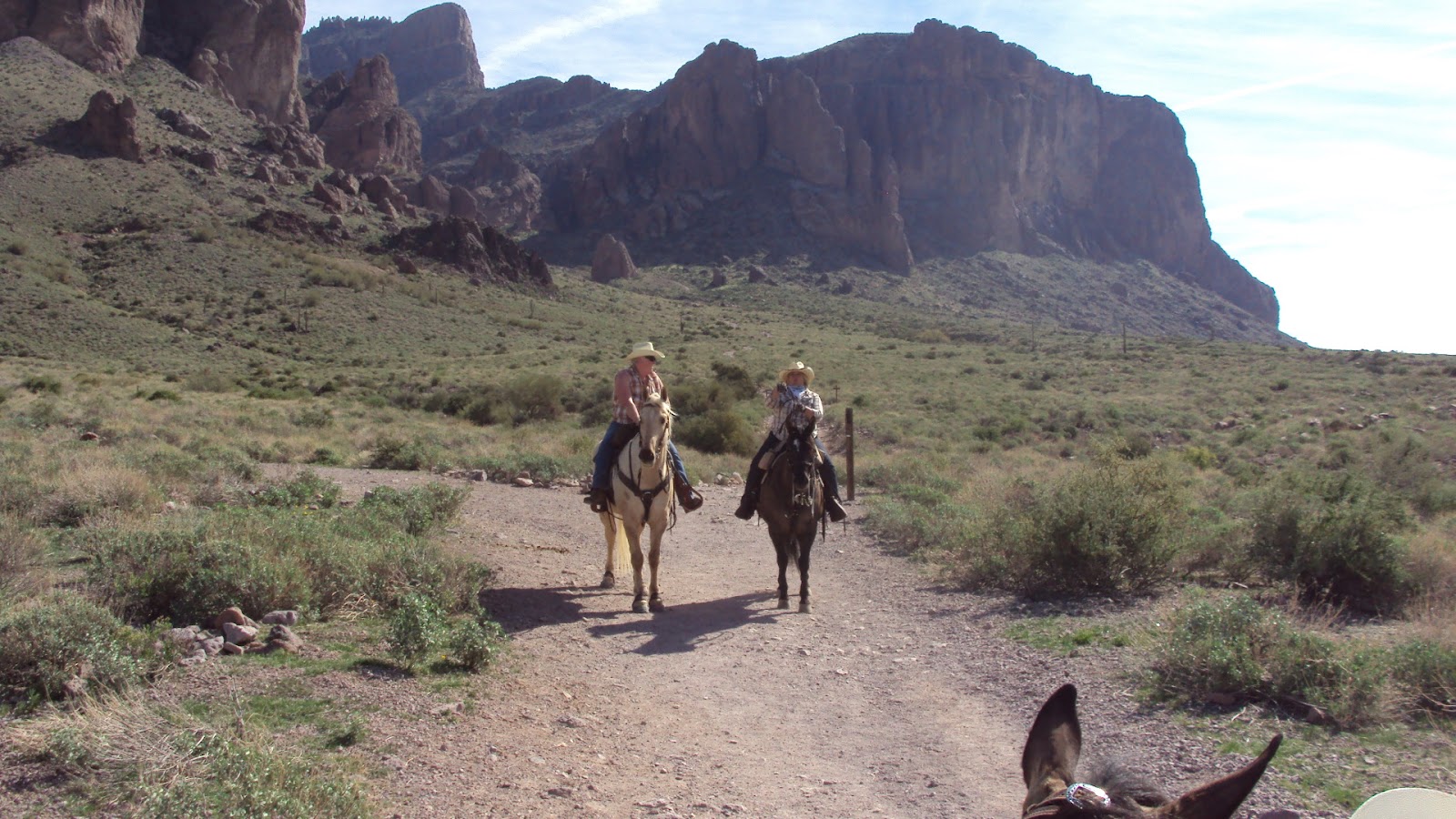 Camping and Horses MORE PICTURES FOR APACHE JUNCTION