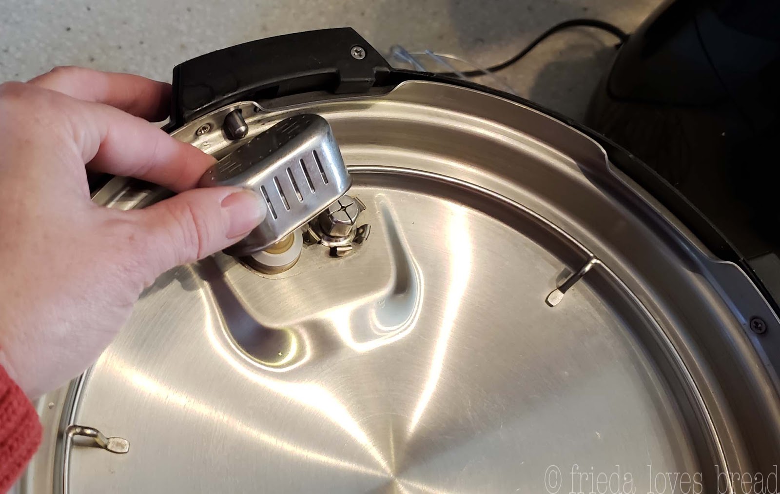 Frieda Loves Bread How to Clean & Maintain Your Instant Pot