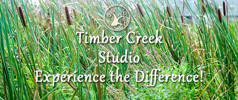 Timber Creek Studios