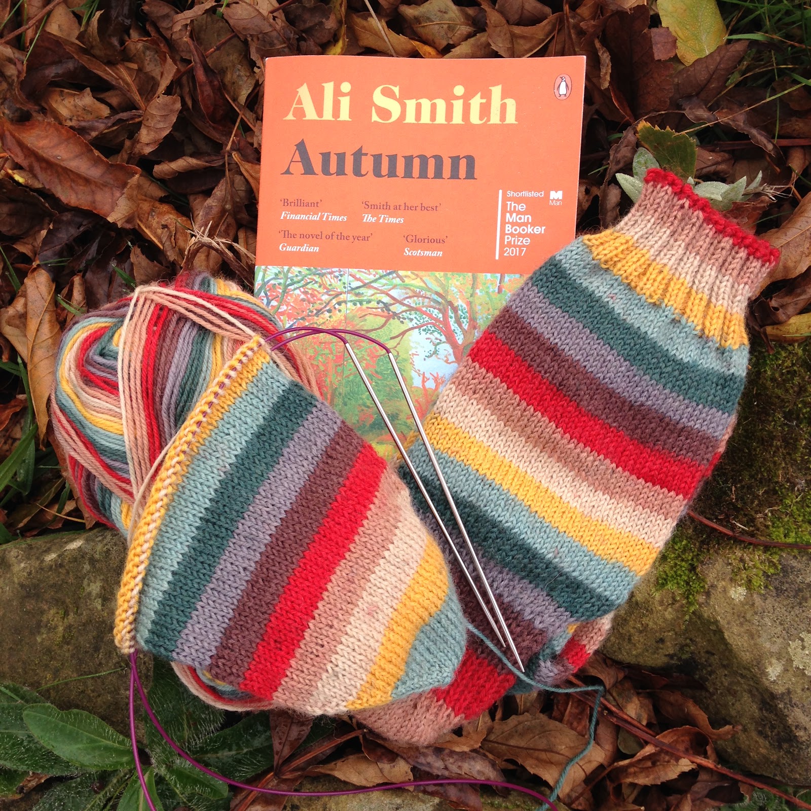 Vikki Bird Designs FO Friday Paintbox Yarns Socks (review)