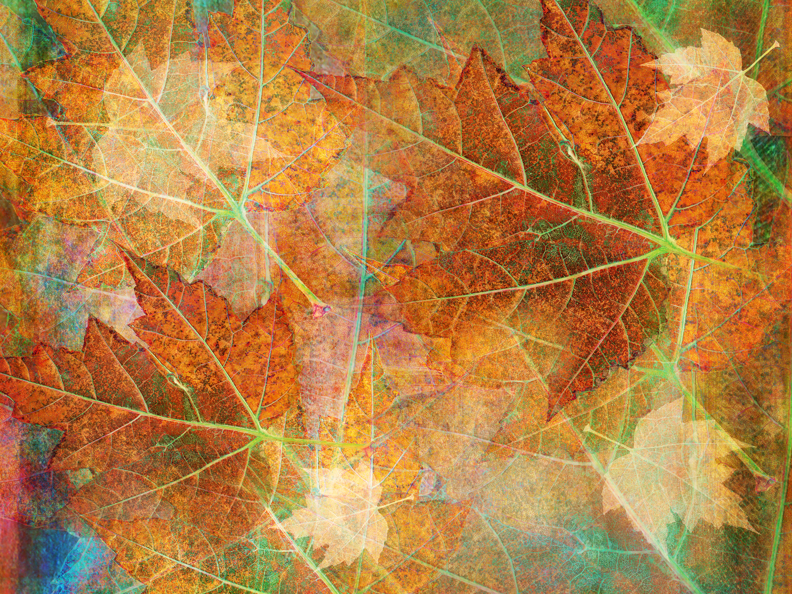 Vintage Leaf Background Vintage Magazine Covers Canvas Autumn Leaf Wallpape...