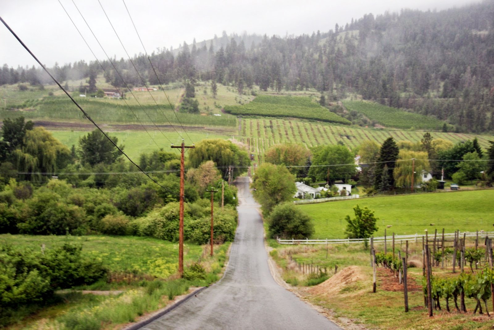 OUR TRAVEL JOURNAL SUMMERLAND, B.C.