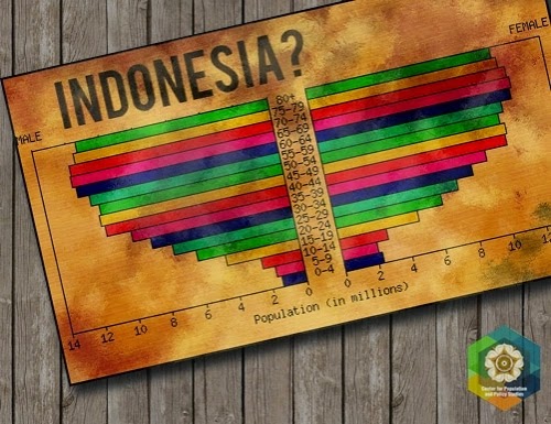 Mengenal Bonus Demografi Pelajar Indonesia Pelajar Cerdas