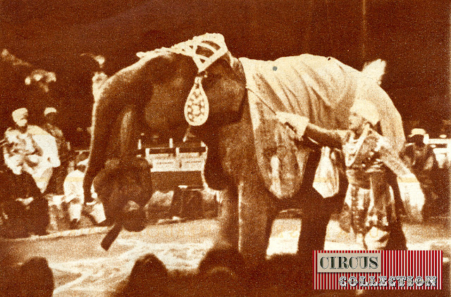 éléphant dans la pantomime India 