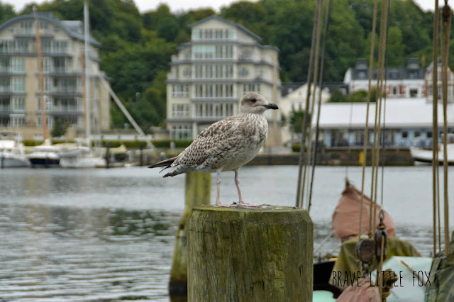 Hafen Flensburg