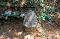 makam panembahan kalibening
