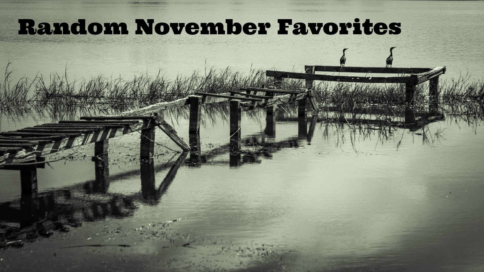 random november favorites