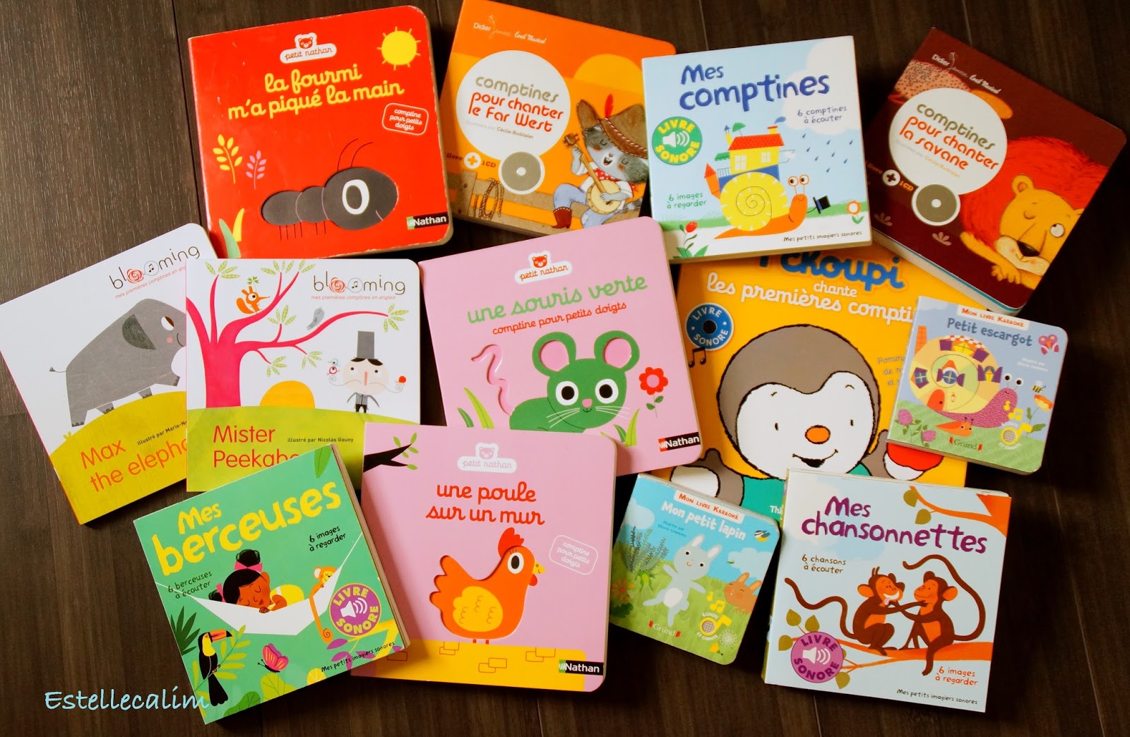 lire-relire-ne-pas-lire-des-livres-pour-chanter