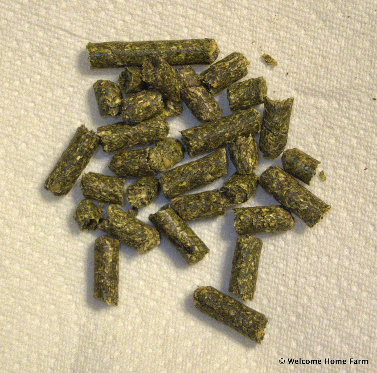 What Do Farm Animals Eat? My Home Farm