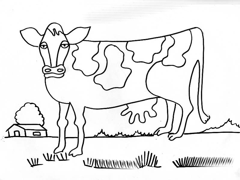 dibujilandia: pintar y colorear personajes de animales