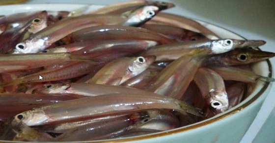 Ternyata Ikan Teri Masuk Dalam Daftar 5 Masakan Pendongkrak Kecerdasan Otak Ternyata Ikan Teri Masuk Dalam Daftar 5 Masakan Pendongkrak Kecerdasan Otak