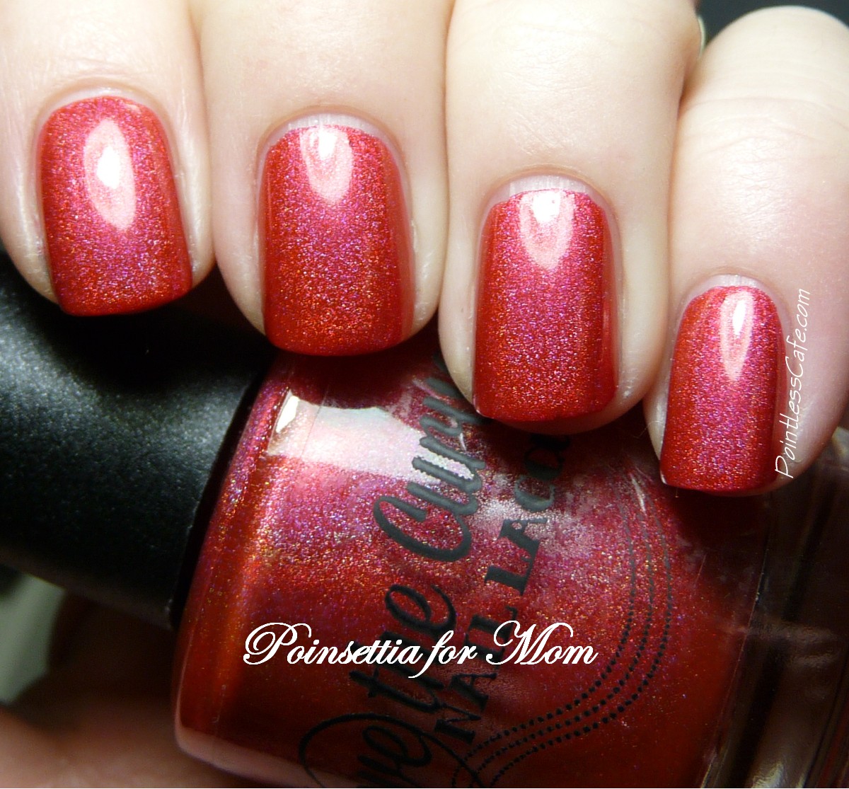 Above the Curve Holiday 2013 - Swatches and Review | Pointless Cafe