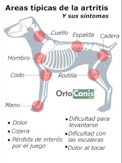 Tratamiento de artritis en perros Tratamiento de artritis en perros