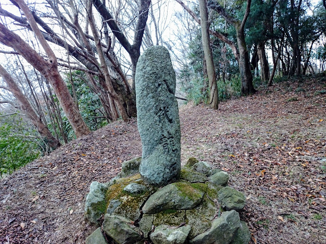 立石越・じょうさんの森