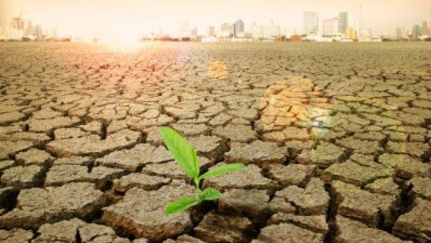 Upaya Pemerintah Indonesia Menangani Pemanasan Global Guntara.com