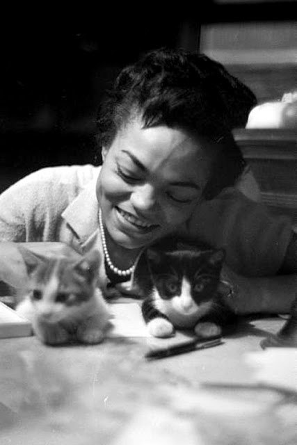 Eartha Kitt cats