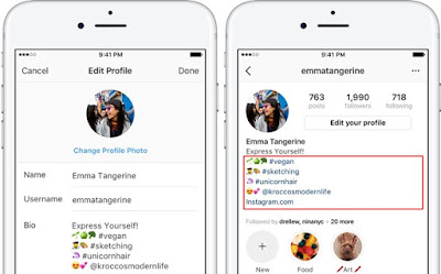 Cara Menambahkan Profil Link dan Hashtag di Bio Instagram