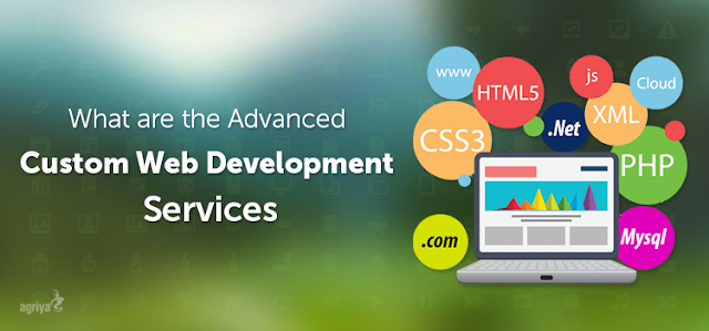 Custom Web Development Company